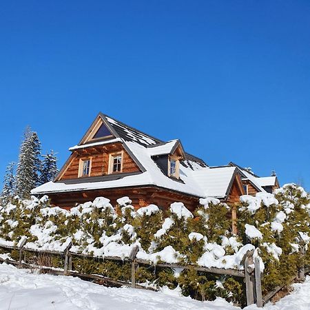 Nydala Rustic Villa Koscielisko Ngoại thất bức ảnh
