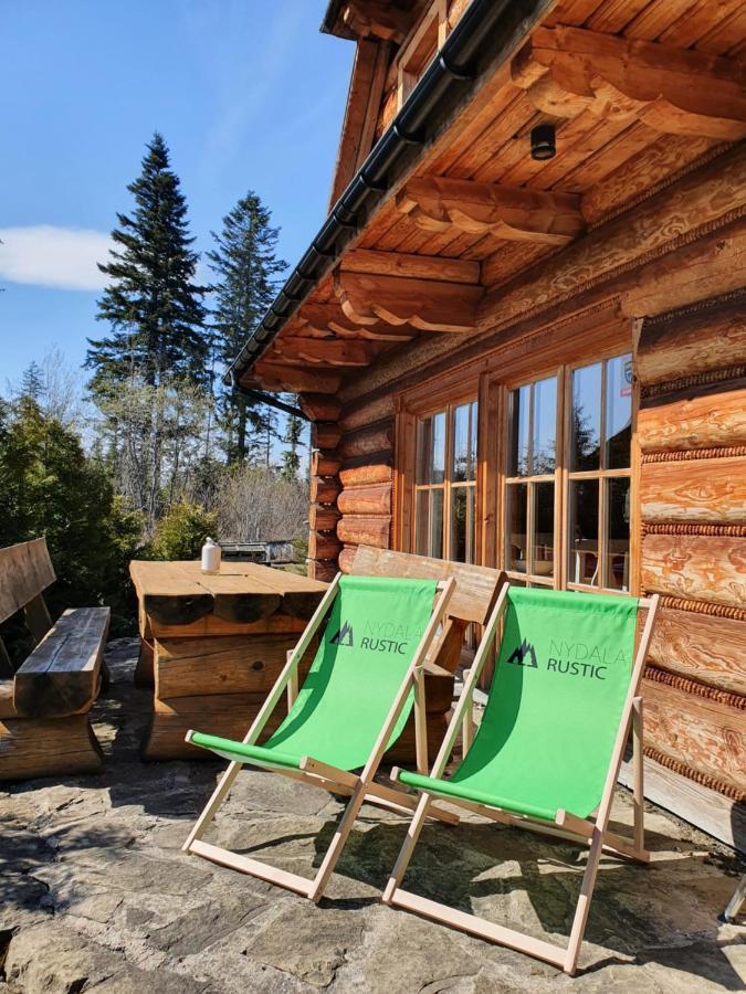 Nydala Rustic Villa Koscielisko Ngoại thất bức ảnh
