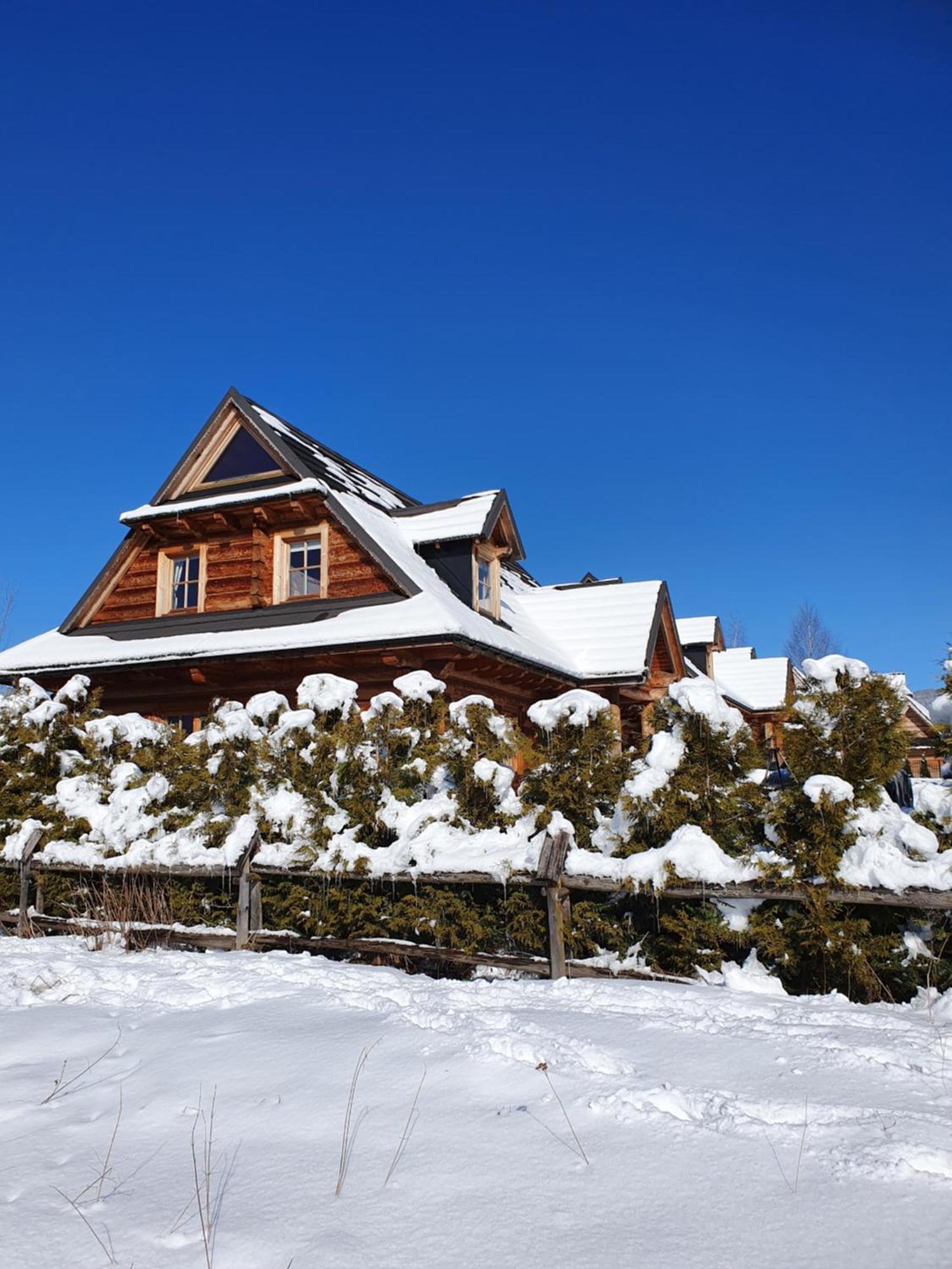 Nydala Rustic Villa Koscielisko Ngoại thất bức ảnh